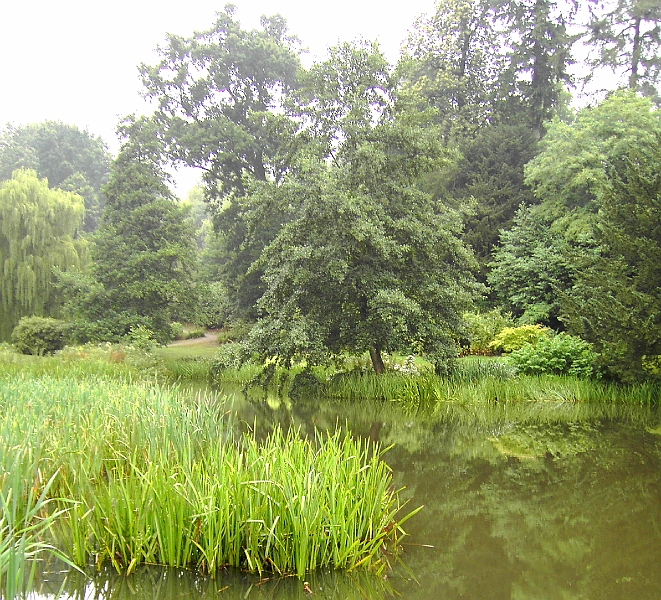 PICT0214 Lake Ightham Mote.JPG - Lake Ightham Mote